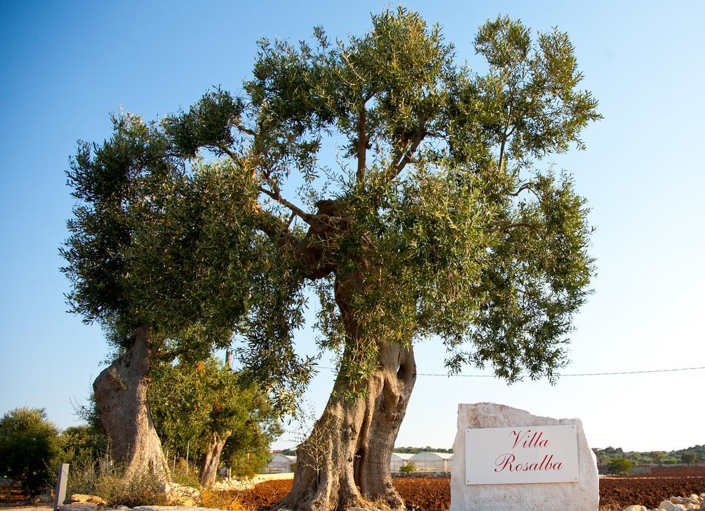 Villa Rosalba Polignano a Mare Εξωτερικό φωτογραφία